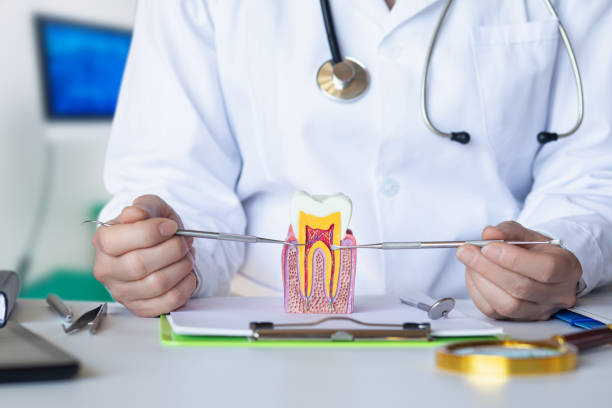Best Urgent Care for Lost Fillings or Crowns in Lone Tree, IA